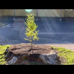 Meet your Posher, Marjon